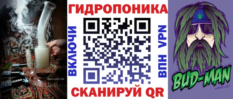 где продают   Микунь  MEGA как войти  Шишки марихуана сатива 